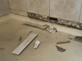 Shower requiring repair