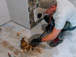 Does Home <span>Insurance</span> Cover a Shower Leak Behind the Wall?