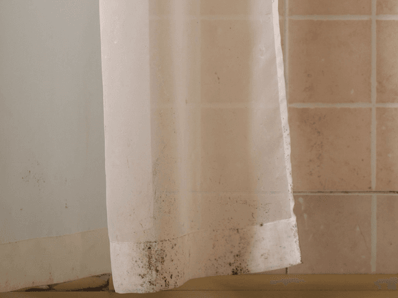 How to get mould off a shower curtain