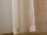 How To Get <span>Mould</span> Off A Shower Curtain